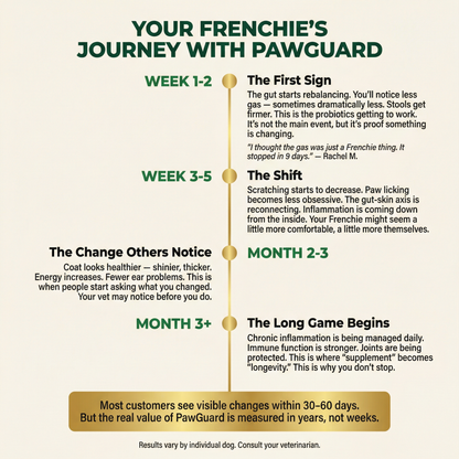 French Bulldog Longevity Chews