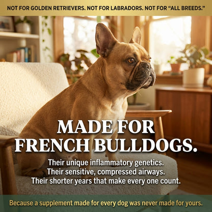 French Bulldog Longevity Chews