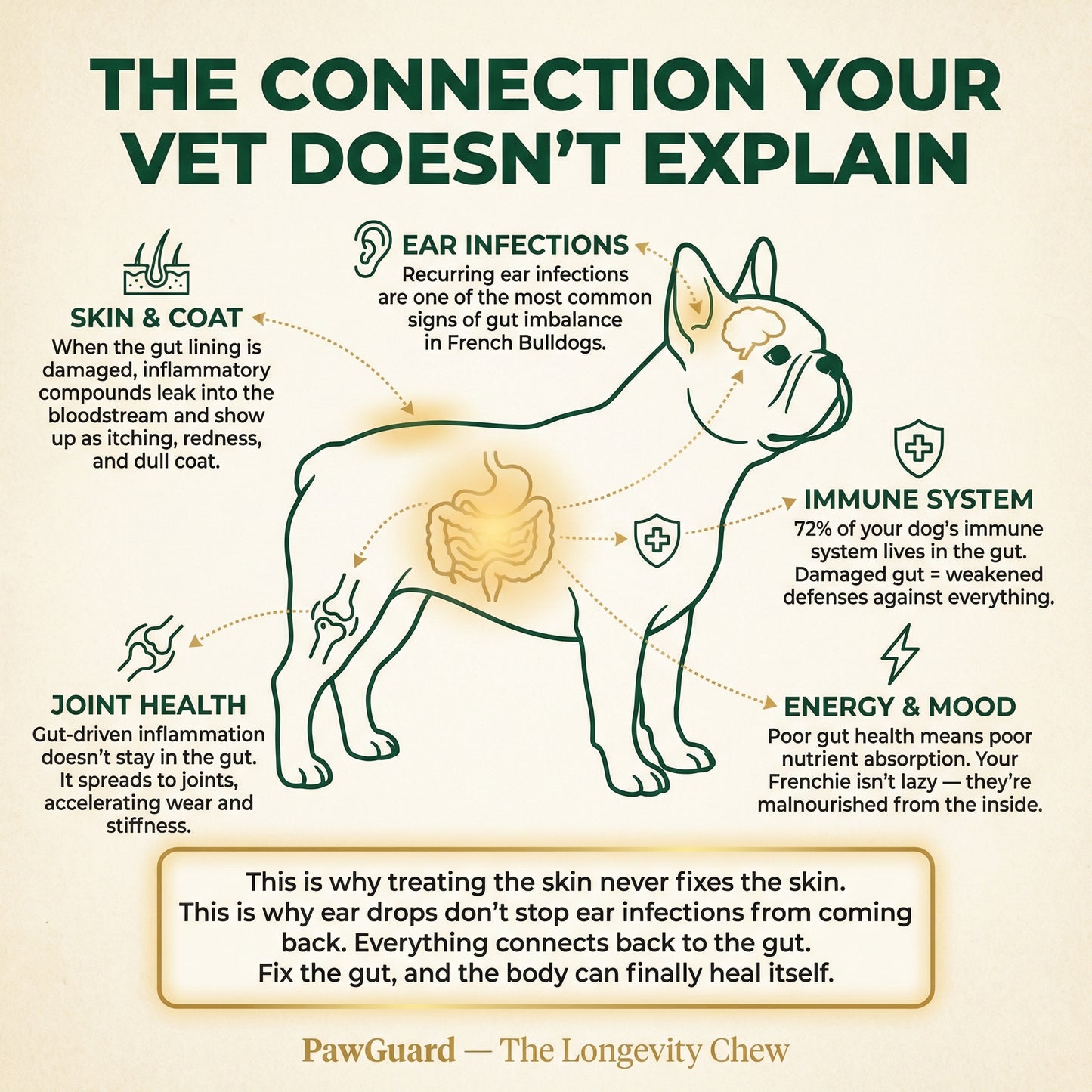 French Bulldog Longevity Chews