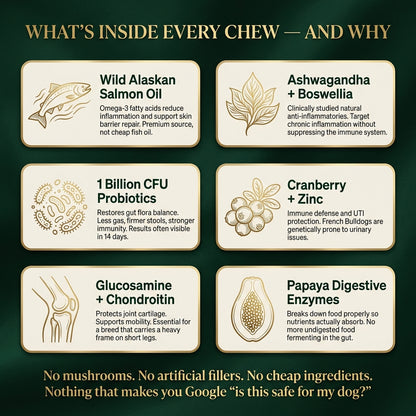 French Bulldog Longevity Chews