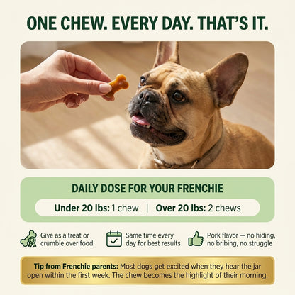 French Bulldog Longevity Chews