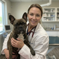 By Dr. Sarah Mitchell, DVM